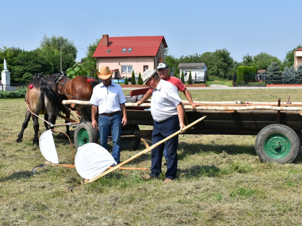 Sandomierz. Staropolskie żniwa w Nadbrzeziu [zdjęcia]