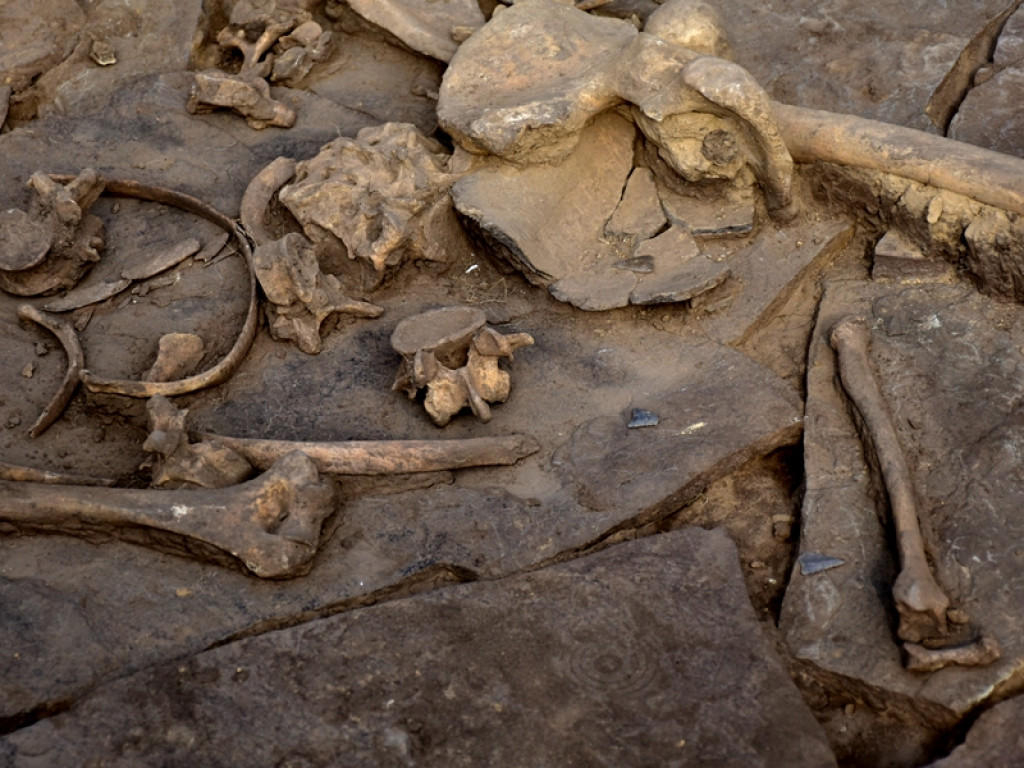 Prehistoryczne groby, w tym z epoki brązu - wyjątkowe odkrycia w Wilczycach [zdjęcia]