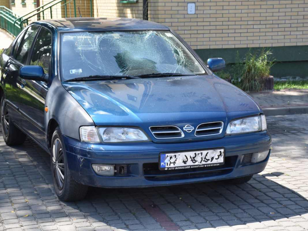 Wandale grasowali po Tarnobrzegu i demolowali samochody! Sprawców szuka policja [zdjęcia]
