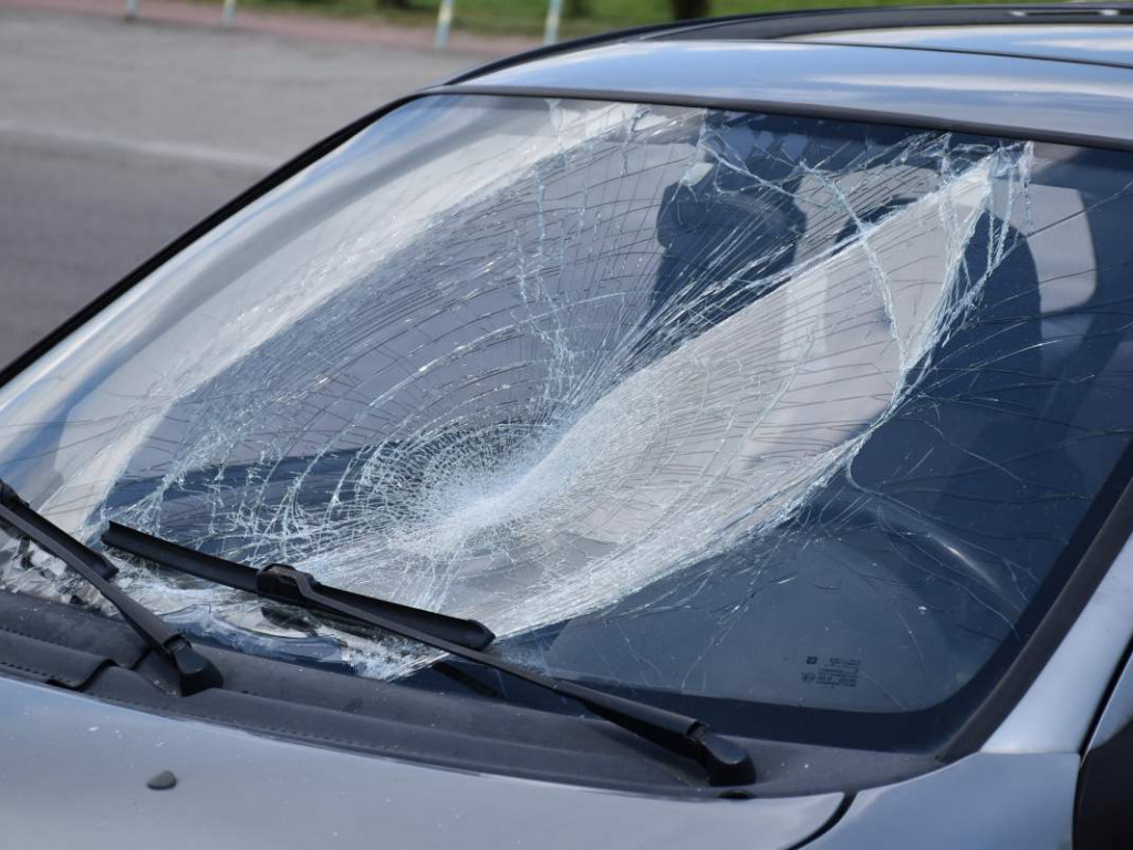 Wandale grasowali po Tarnobrzegu i demolowali samochody! Sprawców szuka policja [zdjęcia]