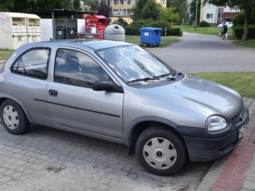 Wandale grasowali po Tarnobrzegu i demolowali samochody! Sprawców szuka policja [zdjęcia]