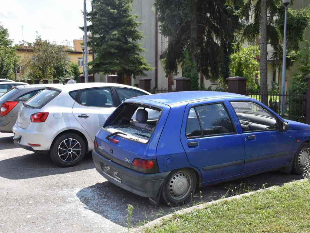 Wandale grasowali po Tarnobrzegu i demolowali samochody! Sprawców szuka policja [zdjęcia]