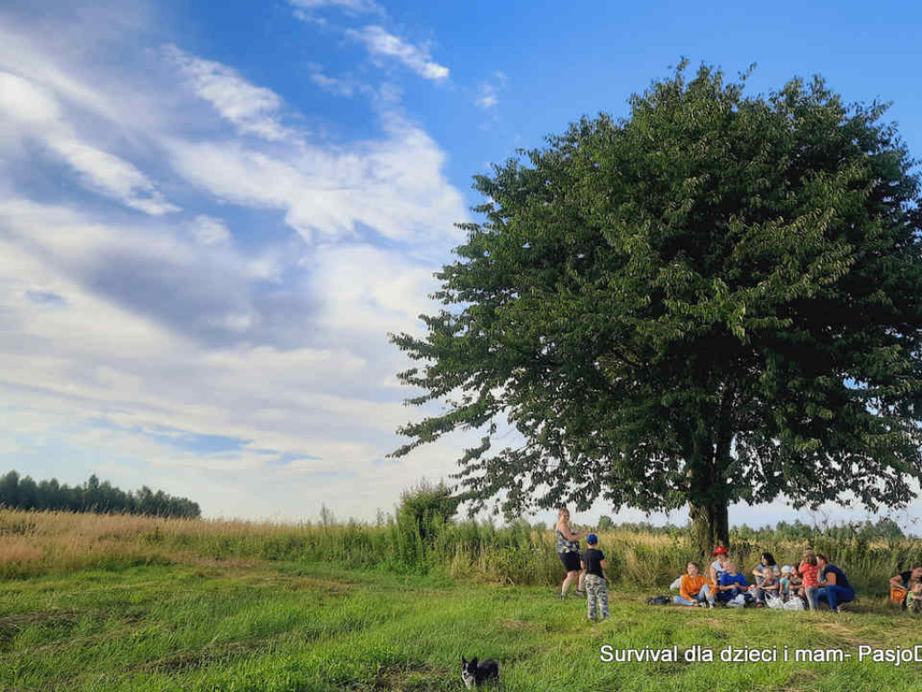 Staszów. Fundacja PasjoDzielnia zorganizowała survivalowy weekend dla dzieci i mam [zdjęcia]