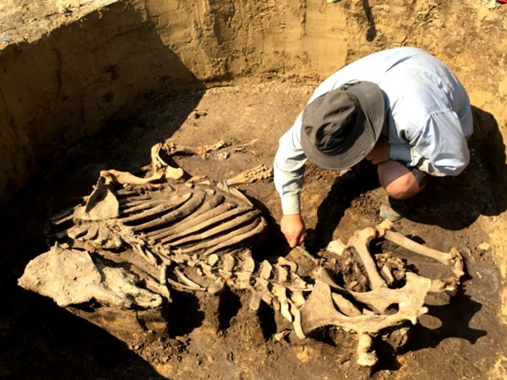 Niezwykłe odkrycie archeologiczne w Wilczycach [zdjęcia]