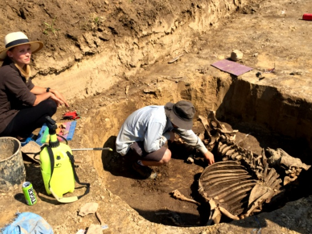 Niezwykłe odkrycie archeologiczne w Wilczycach [zdjęcia]