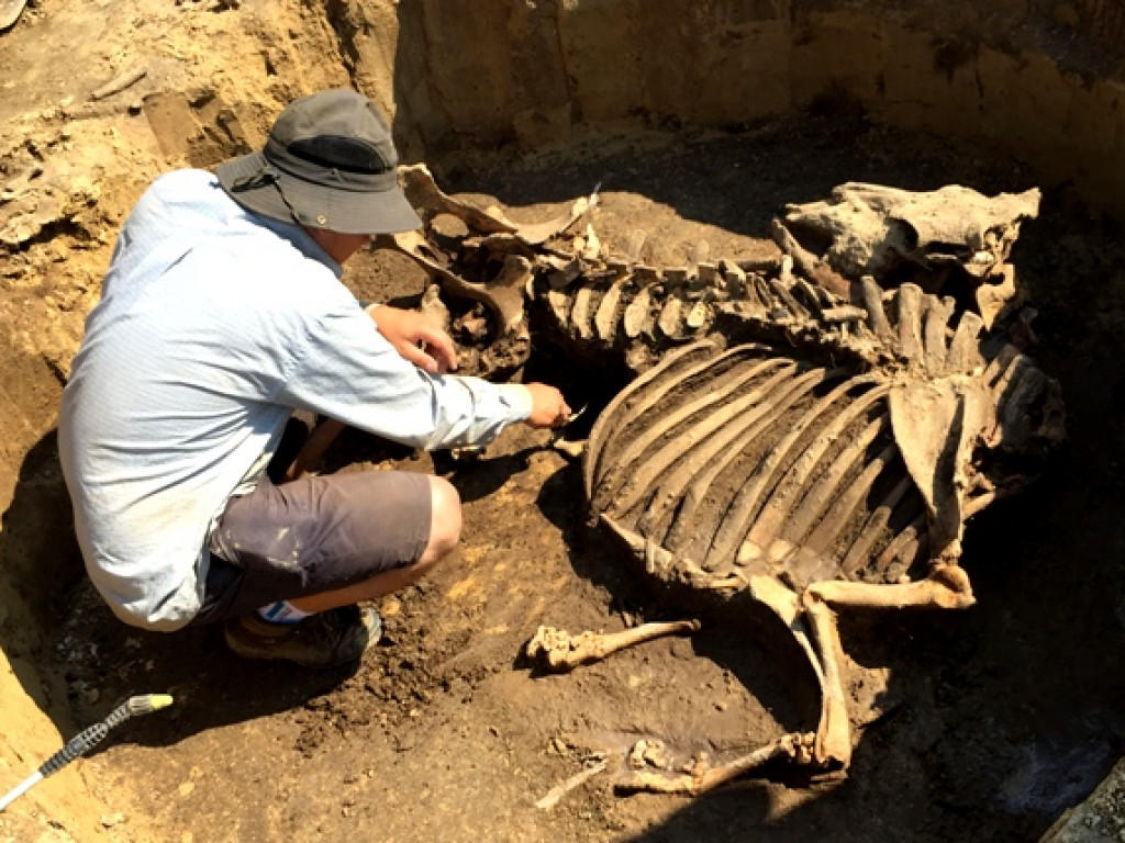 Niezwykłe odkrycie archeologiczne w Wilczycach [zdjęcia]