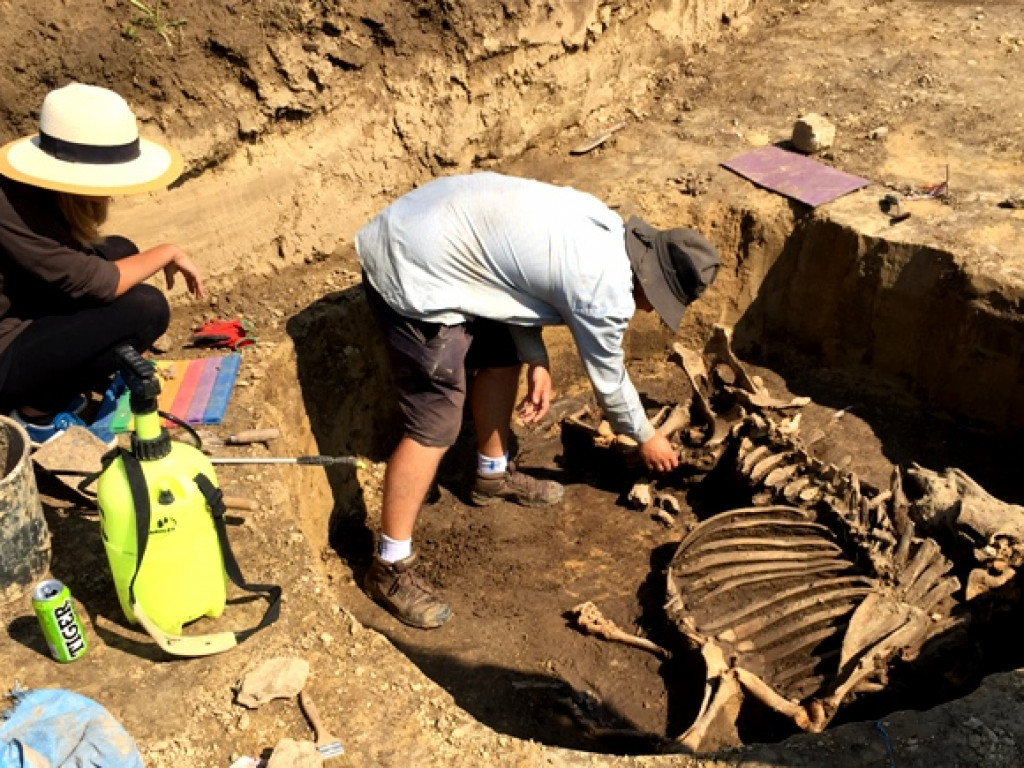 Niezwykłe odkrycie archeologiczne w Wilczycach [zdjęcia]