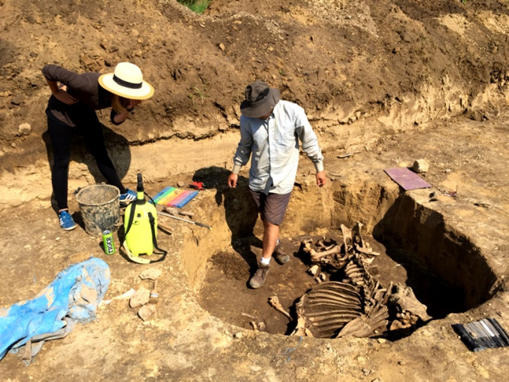 Niezwykłe odkrycie archeologiczne w Wilczycach [zdjęcia]
