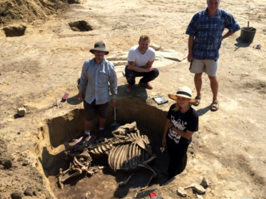 Niezwykłe odkrycie archeologiczne w Wilczycach [zdjęcia]