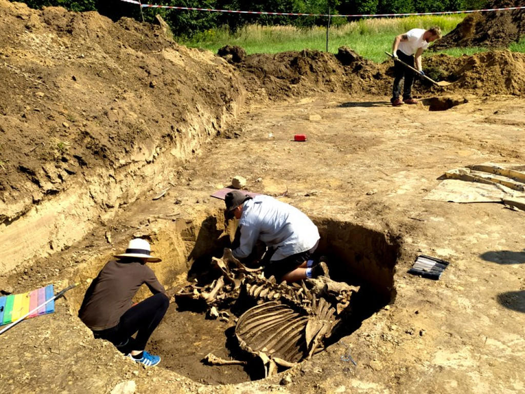 Niezwykłe odkrycie archeologiczne w Wilczycach [zdjęcia]