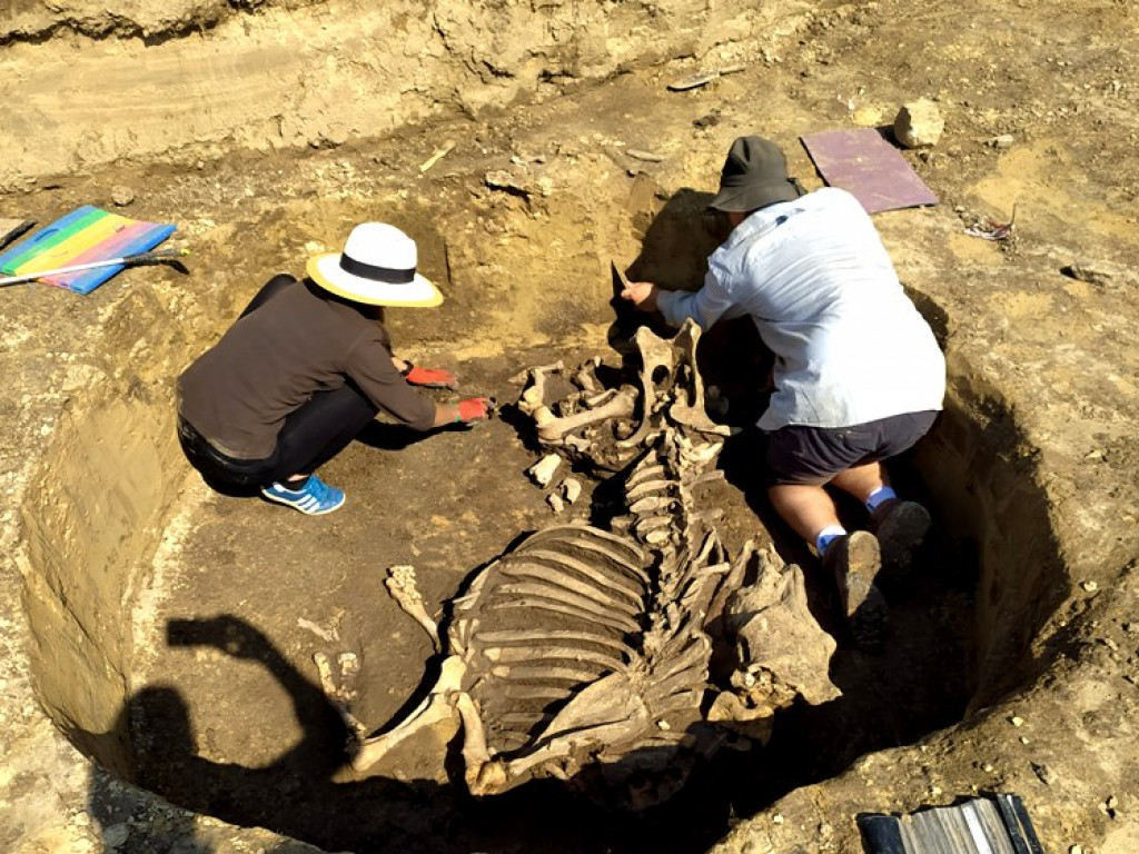 Niezwykłe odkrycie archeologiczne w Wilczycach [zdjęcia]