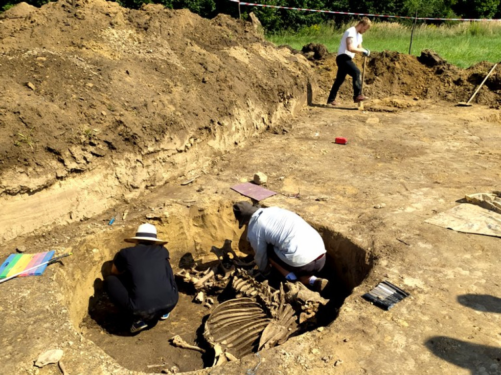 Niezwykłe odkrycie archeologiczne w Wilczycach [zdjęcia]