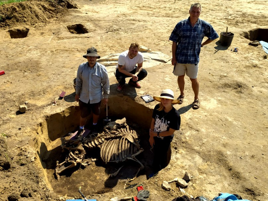 Niezwykłe odkrycie archeologiczne w Wilczycach [zdjęcia]