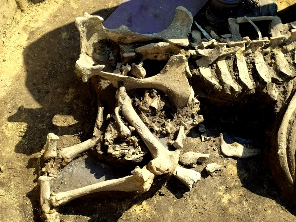Niezwykłe odkrycie archeologiczne w Wilczycach [zdjęcia]