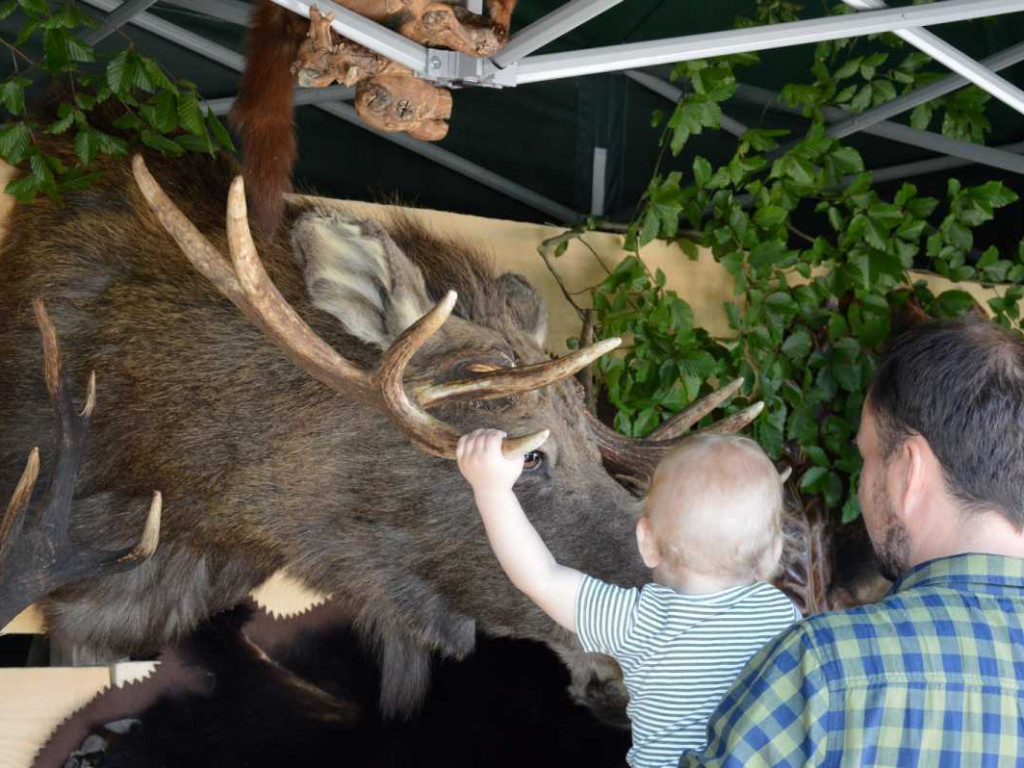 Święto tradycji myśliwskiej w Nisku [zdjęcia]