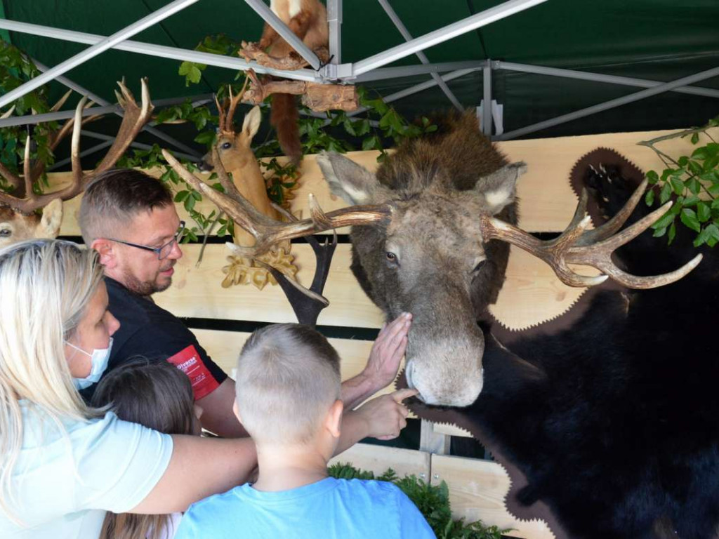 Święto tradycji myśliwskiej w Nisku [zdjęcia]