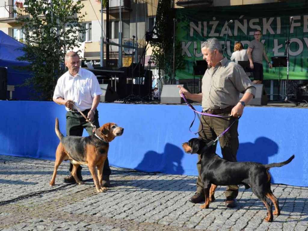 Święto tradycji myśliwskiej w Nisku [zdjęcia]