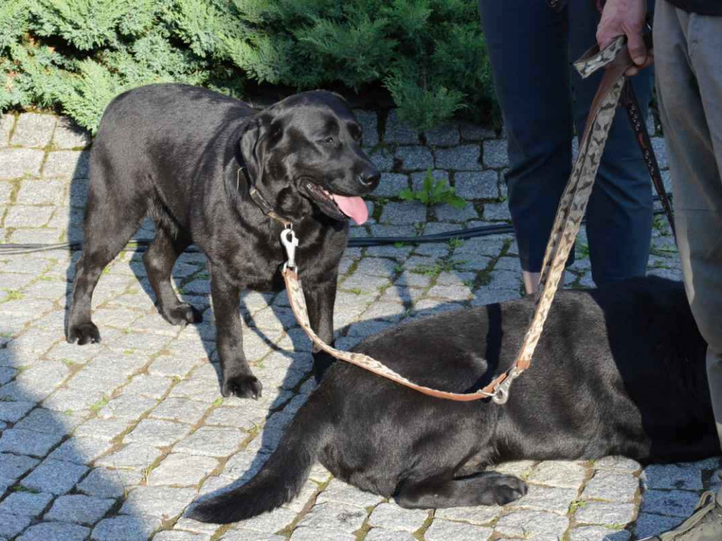 Święto tradycji myśliwskiej w Nisku [zdjęcia]