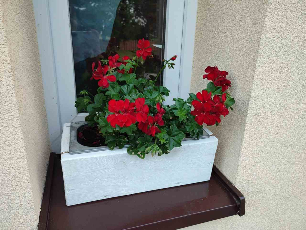 Baranów Sandomierski. Cuda z recyklingu powstają w Dymitrowie Małym [zdjęcia]