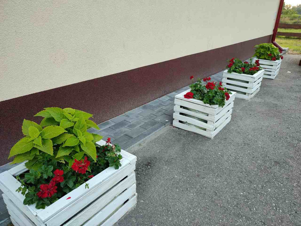 Baranów Sandomierski. Cuda z recyklingu powstają w Dymitrowie Małym [zdjęcia]