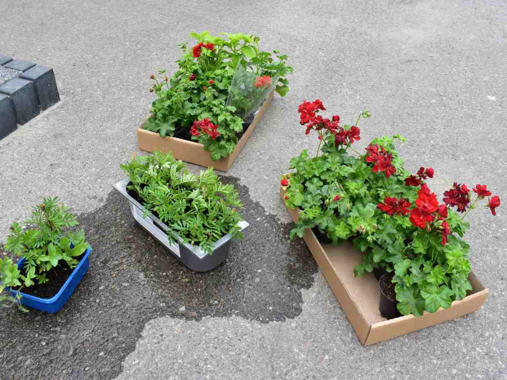 Baranów Sandomierski. Cuda z recyklingu powstają w Dymitrowie Małym [zdjęcia]