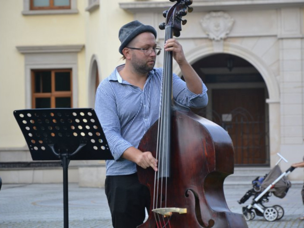 Tarnobrzeg. Muzyczna uczta w parku dzikowskim [zdjęcia]