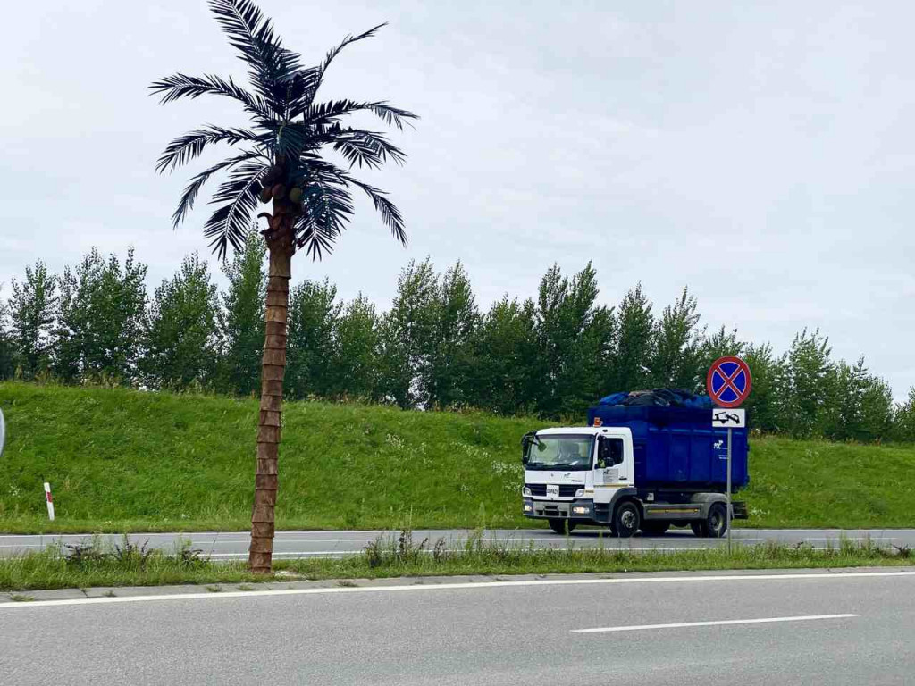 Przy wjeździe nad Jezioro Tarnobrzeskie ustawiono nowe palmy [zdjęcia]