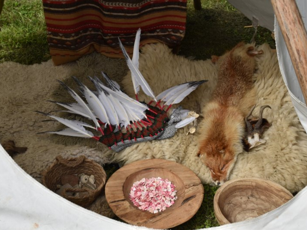Doskonała zabawa i ogrom atrakcji podczas Wakacyjnego Pikniku w Tarnobrzegu [zdjęcia]