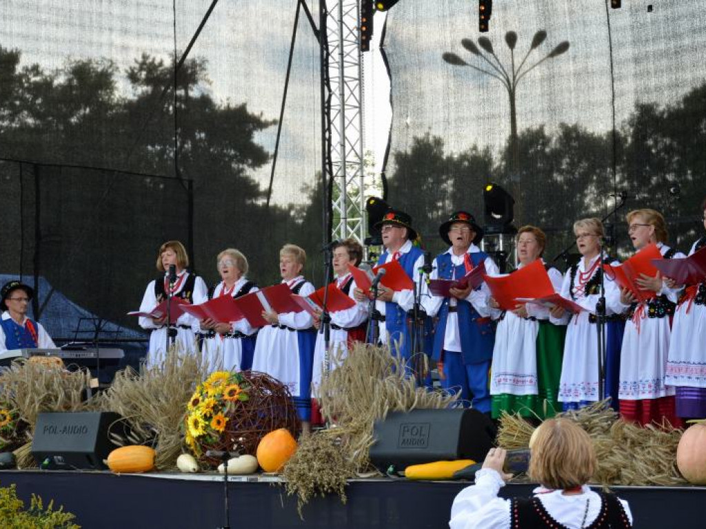 Dożynki w powiecie niżańskim [zdjęcia]