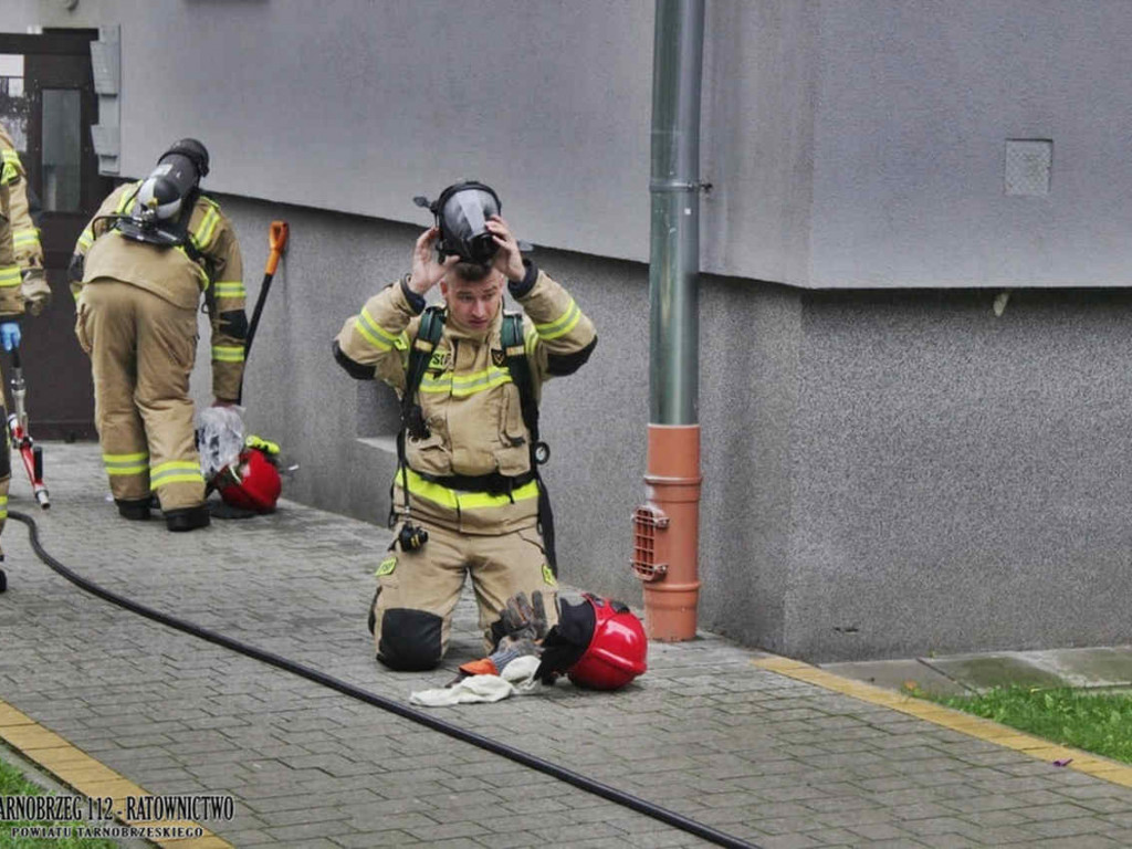 Tarnobrzeg. Strażacy wezwani do pożaru na Skalnej Górze. Winny... niedopałek papierosa [zdjęcia]
