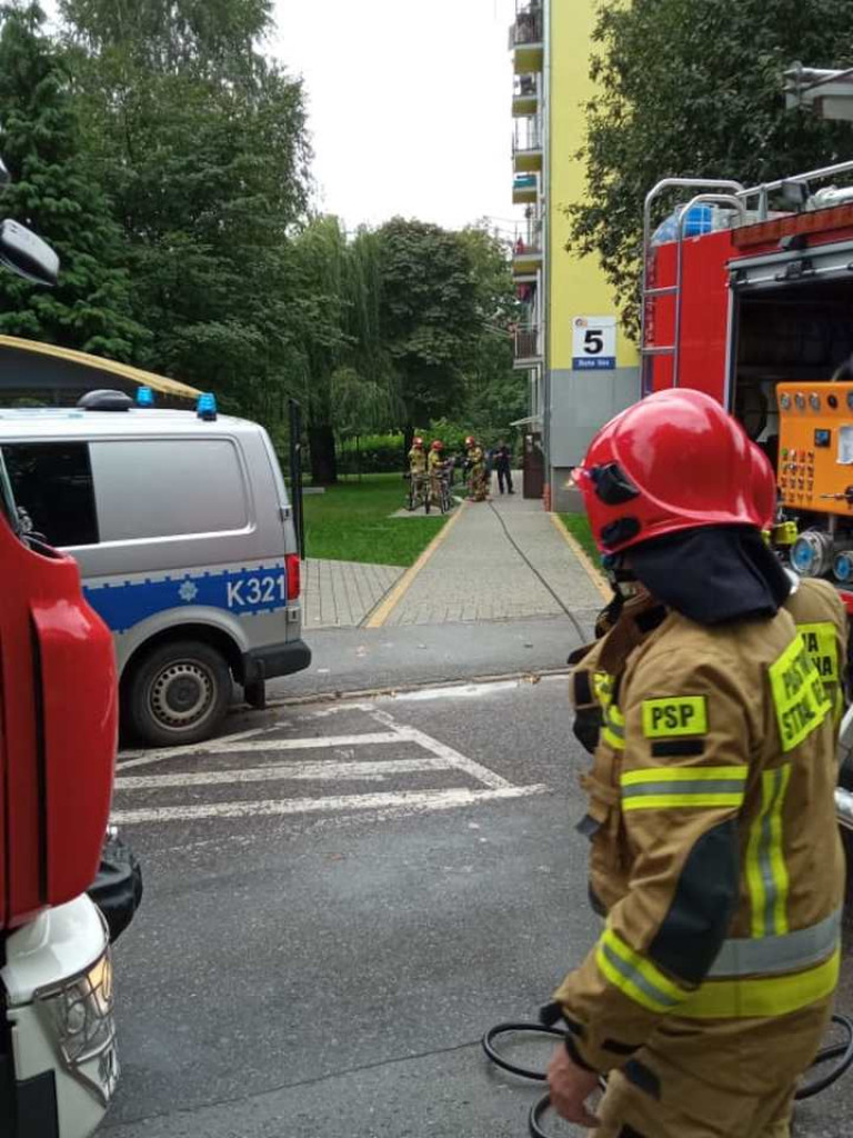 Tarnobrzeg. Strażacy wezwani do pożaru na Skalnej Górze. Winny... niedopałek papierosa [zdjęcia]