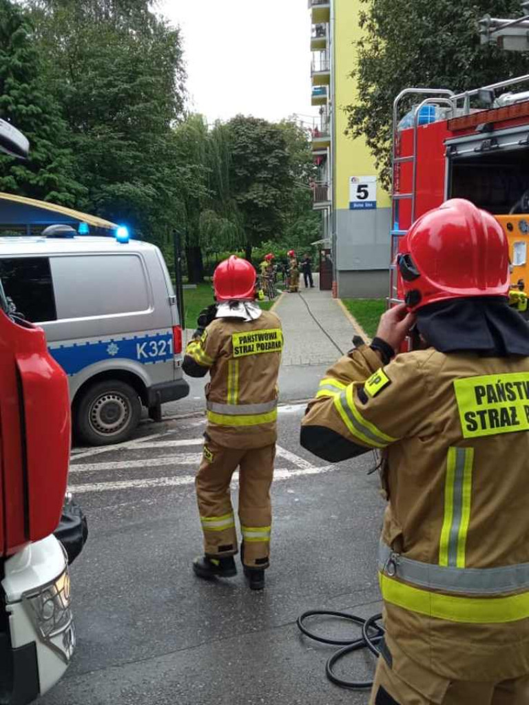 Tarnobrzeg. Strażacy wezwani do pożaru na Skalnej Górze. Winny... niedopałek papierosa [zdjęcia]