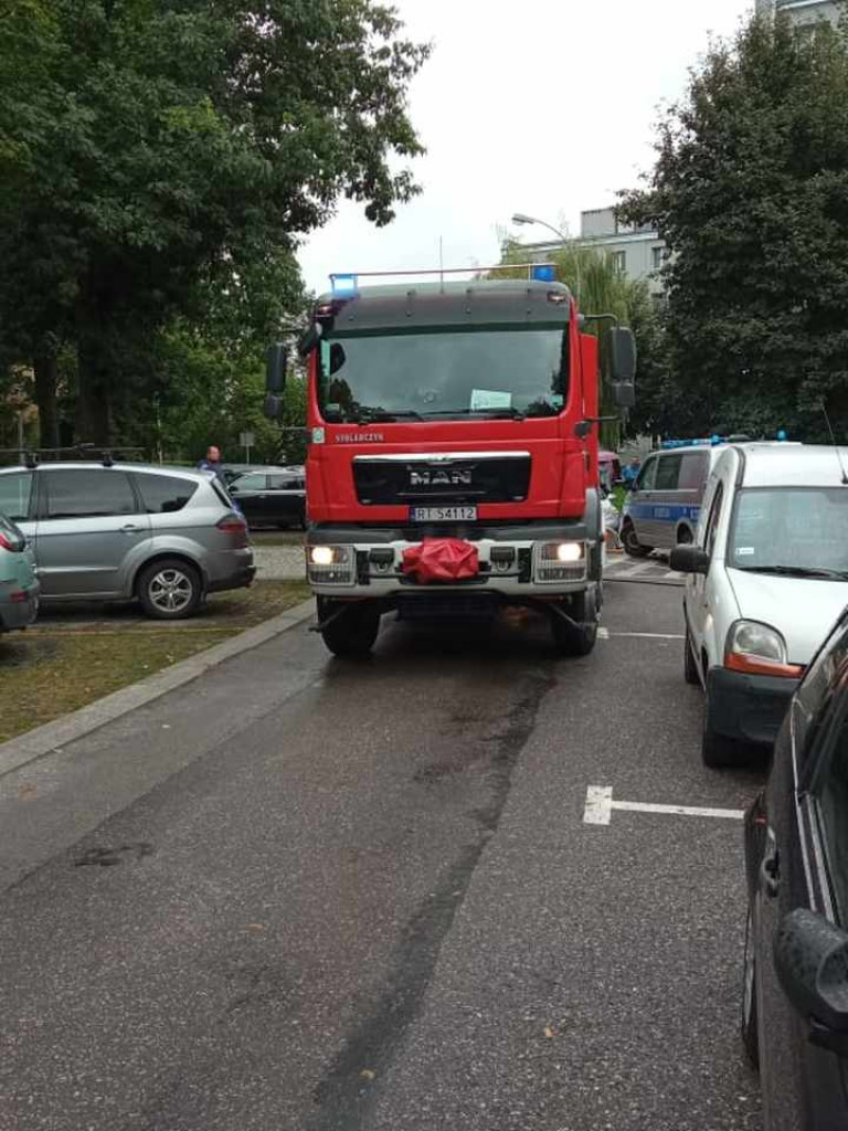 Tarnobrzeg. Strażacy wezwani do pożaru na Skalnej Górze. Winny... niedopałek papierosa [zdjęcia]
