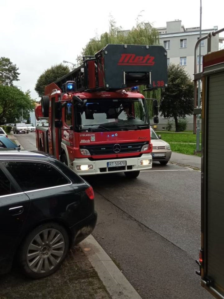 Tarnobrzeg. Strażacy wezwani do pożaru na Skalnej Górze. Winny... niedopałek papierosa [zdjęcia]