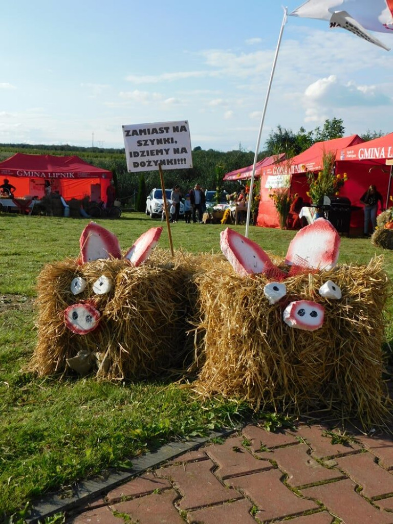 Rolnicze święto w Lipniku [zdjęcia]