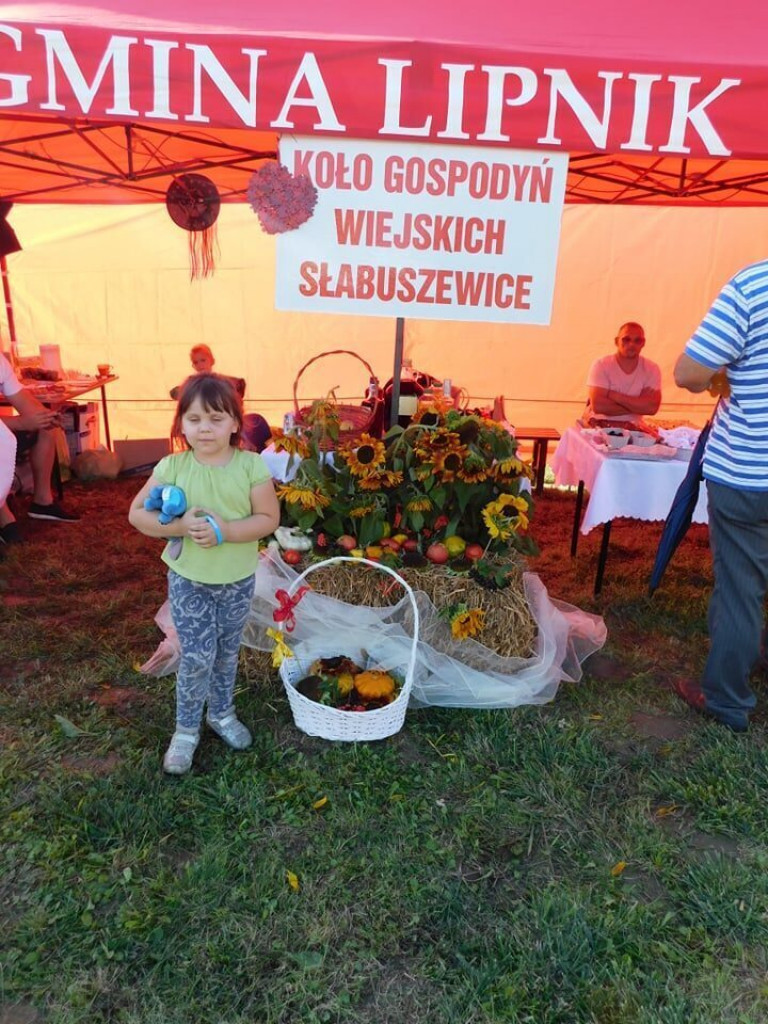 Rolnicze święto w Lipniku [zdjęcia]