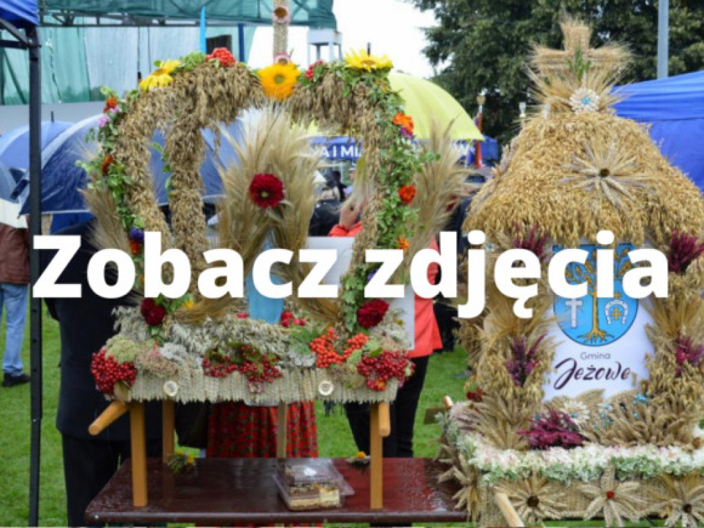 Wojewódzkie Święto Plonów w Ulanowie [zdjęcia]