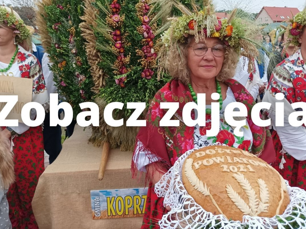 Święto plonów powiatu sandomierskiego w Łoniowie [zdjęcia]