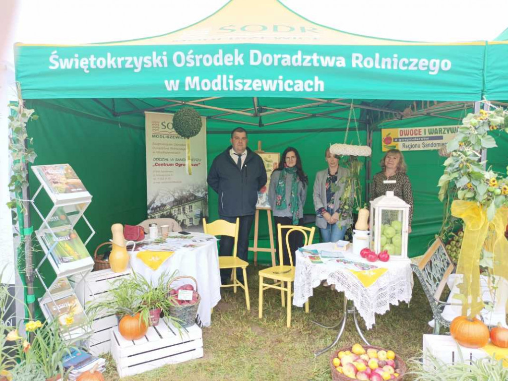 Święto plonów powiatu sandomierskiego w Łoniowie [zdjęcia]
