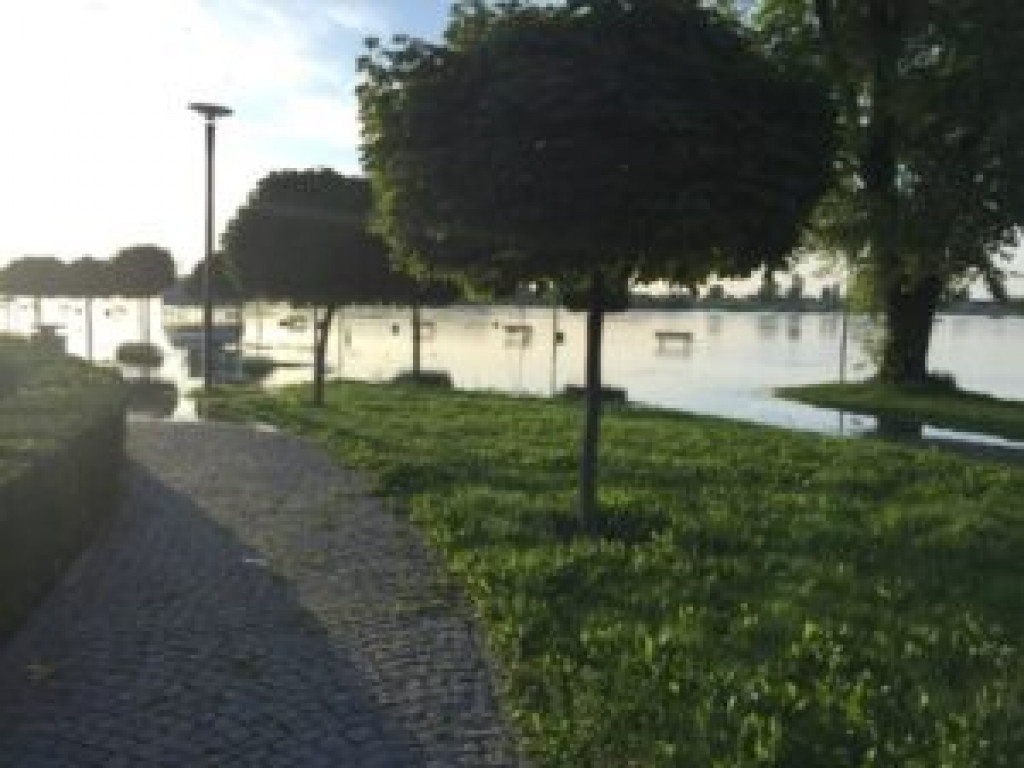 Sandomierz. Poziom Wisły rośnie, ale zagrożenia nie ma [zdjęcia]
