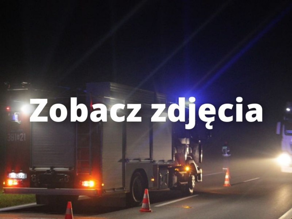 Zderzenie auta z dziką zwierzyną na trasie Tarnobrzeg-Mielec. Ranny kierowca trafił do szpitala [zdjęcia]