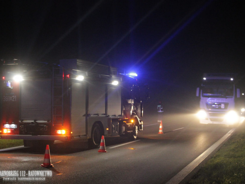 Zderzenie auta z dziką zwierzyną na trasie Tarnobrzeg-Mielec. Ranny kierowca trafił do szpitala [zdjęcia]