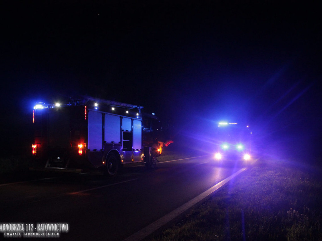 Zderzenie auta z dziką zwierzyną na trasie Tarnobrzeg-Mielec. Ranny kierowca trafił do szpitala [zdjęcia]