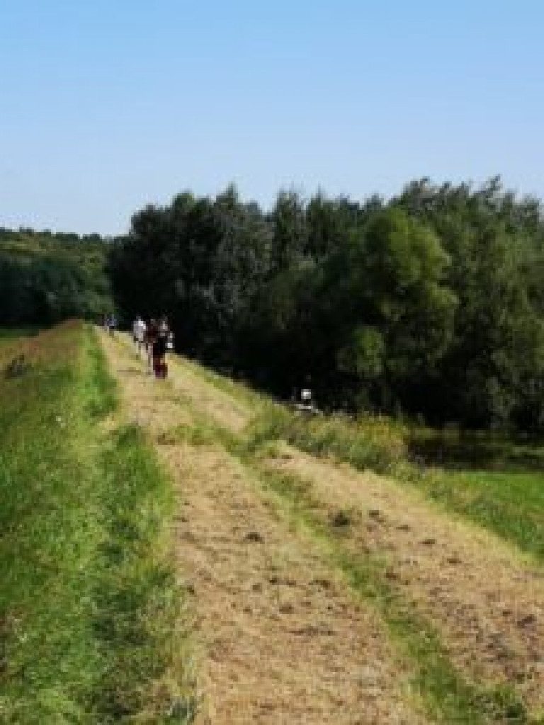 Sandomierz. Pobiegli szlakiem winnic [zdjęcia]
