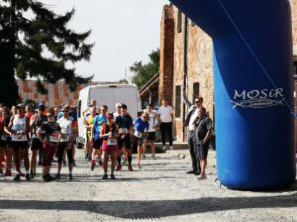 Sandomierz. Pobiegli szlakiem winnic [zdjęcia]
