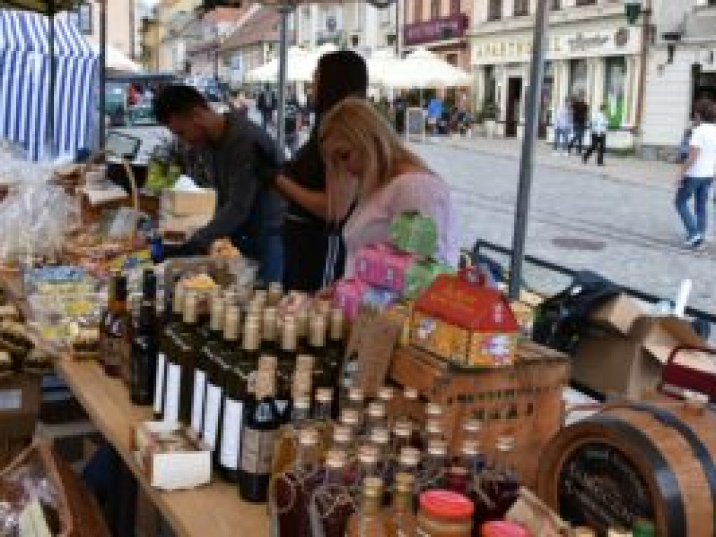 Sandomierz. Znana aktorka Ambasadorką Optymizmu i krzemienia pasiastego [zdjęcia]