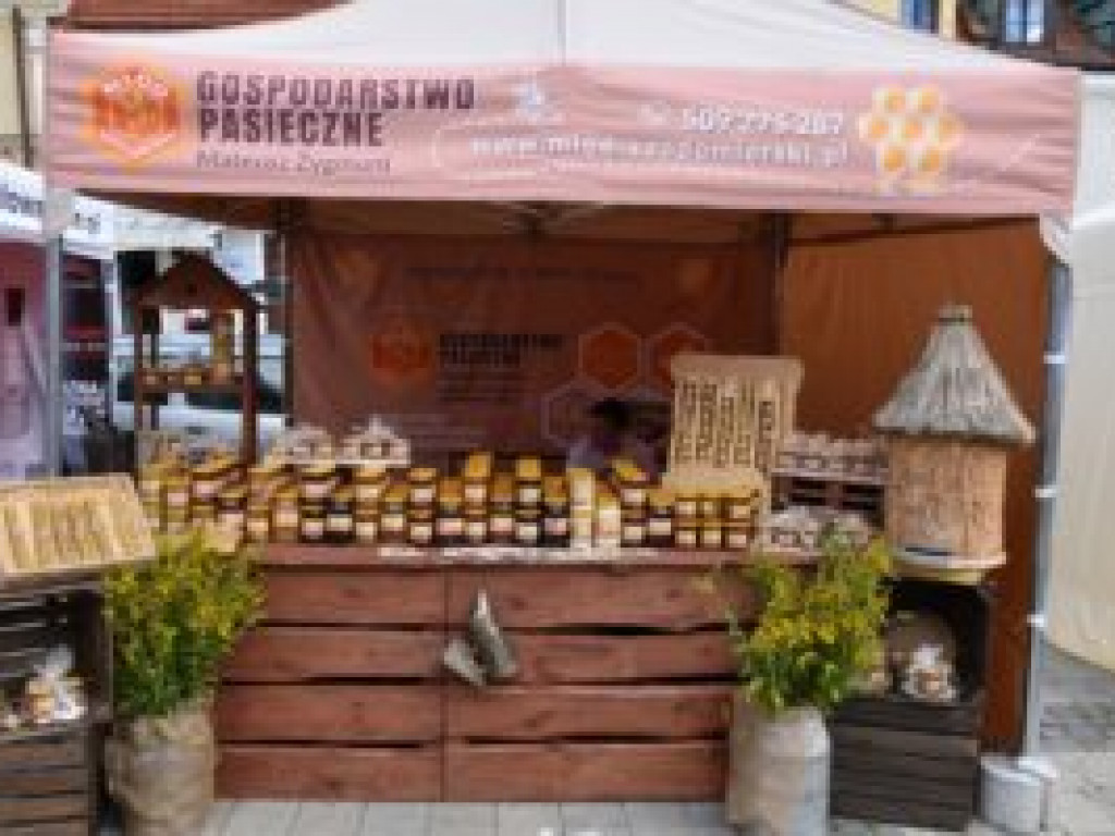 Sandomierz. Znana aktorka Ambasadorką Optymizmu i krzemienia pasiastego [zdjęcia]