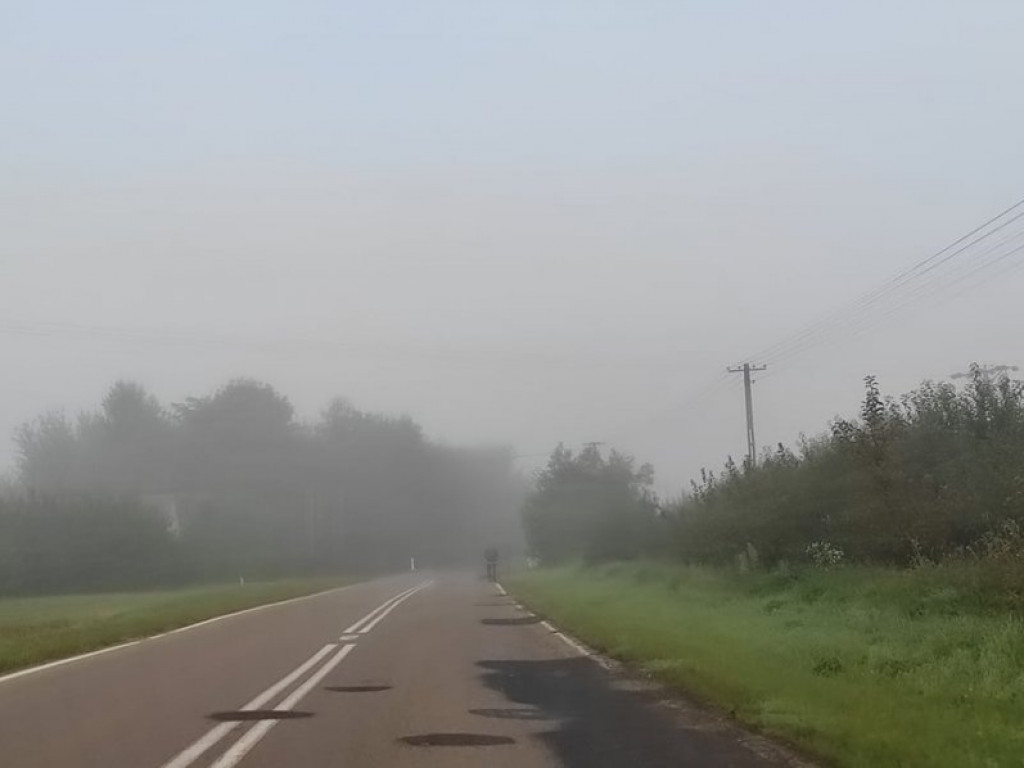 Uwaga kierowcy! Gęste mgły na drogach powiatu sandomierskiego [zdjęcia]