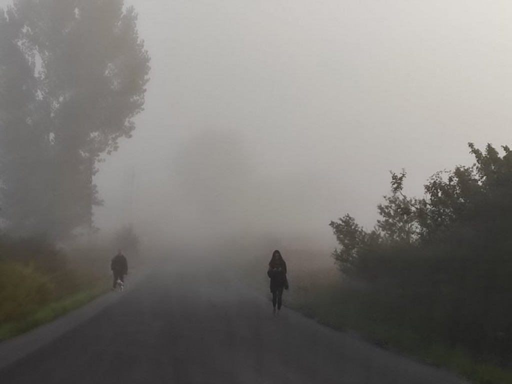 Uwaga kierowcy! Gęste mgły na drogach powiatu sandomierskiego [zdjęcia]