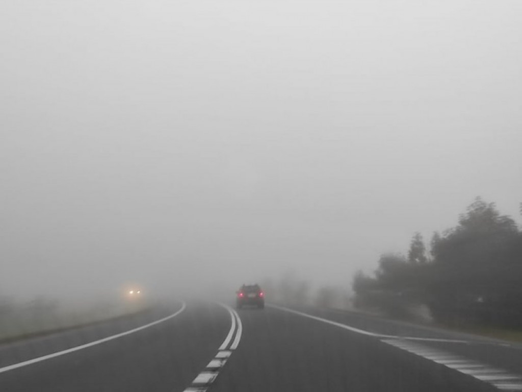 Uwaga kierowcy! Gęste mgły na drogach powiatu sandomierskiego [zdjęcia]
